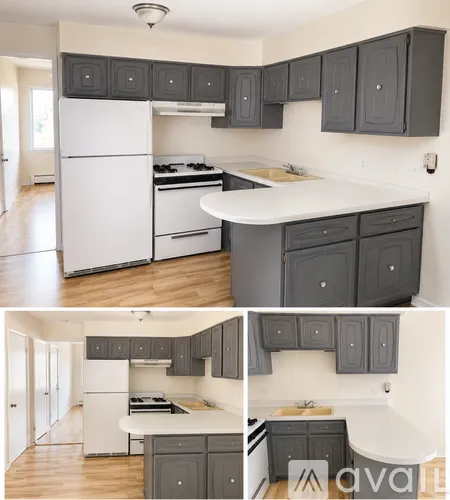 801  Road 60525-unit#1E-La Grange-IL