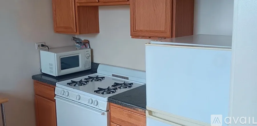918 Green Bay Rd 60093-unit#3E-Winnetka-IL