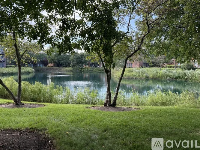 335 Milford Road 60015-unit#335-Deerfield-IL