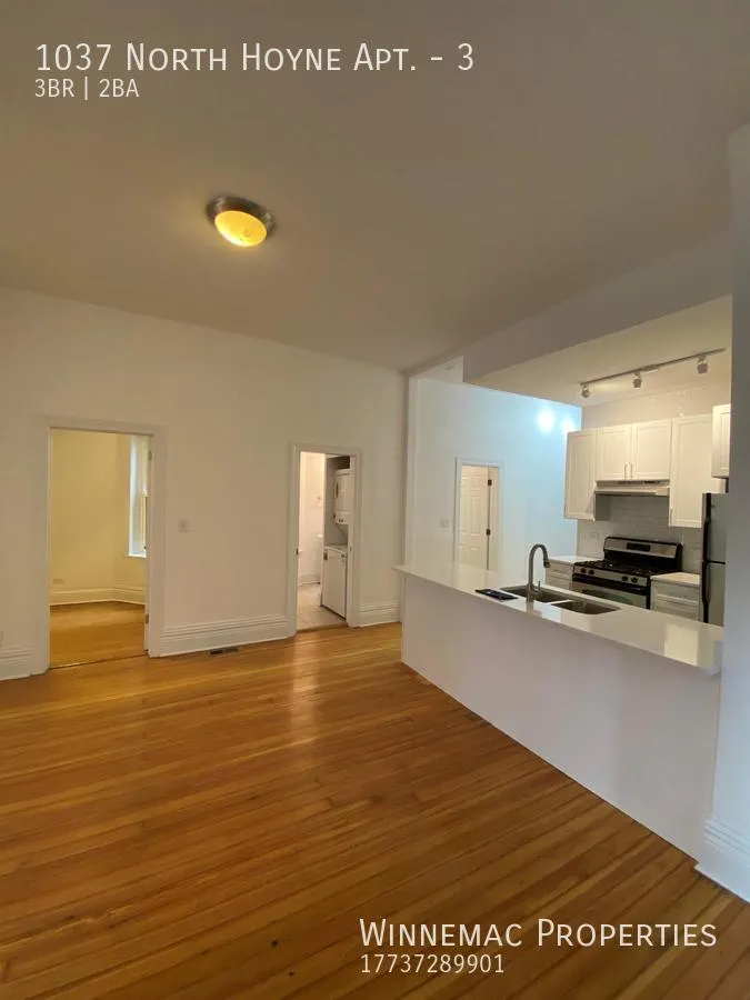 1037 N Hoyne Ave, , 60622, USA 60622-unit#3-Chicago-IL