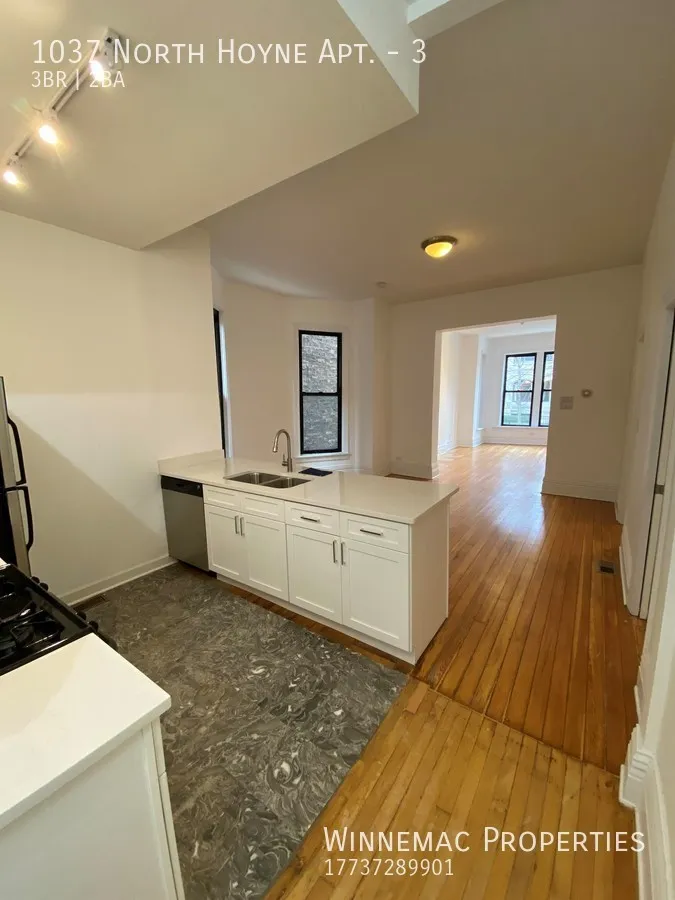 1037 N Hoyne Ave, , 60622, USA 60622-unit#3-Chicago-IL