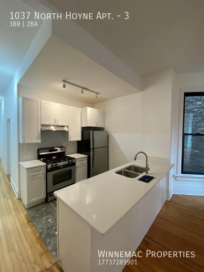 1037 N Hoyne Ave, , 60622, USA 60622-unit#3-Chicago-IL