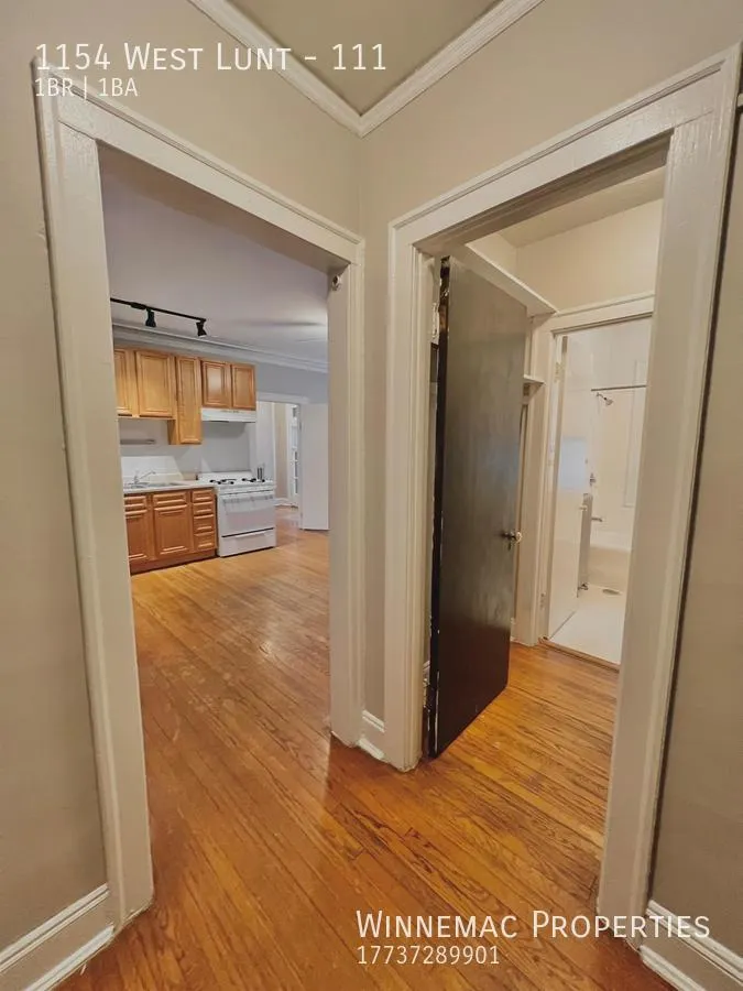 1154 W Lunt Ave, ,  60626, USA 60626-unit#111-Chicago-IL