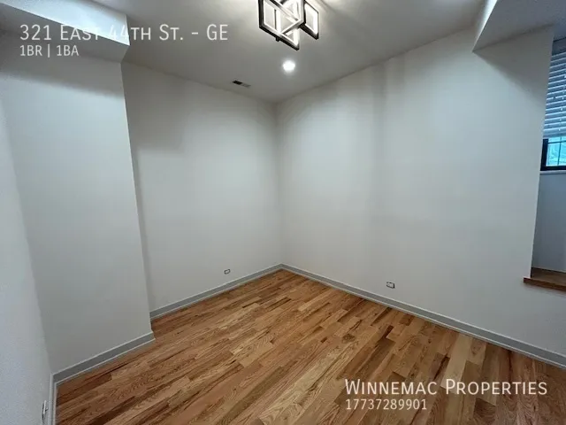 321 E 44th St, ,  60653, USA 60653-unit#GE-Chicago-IL