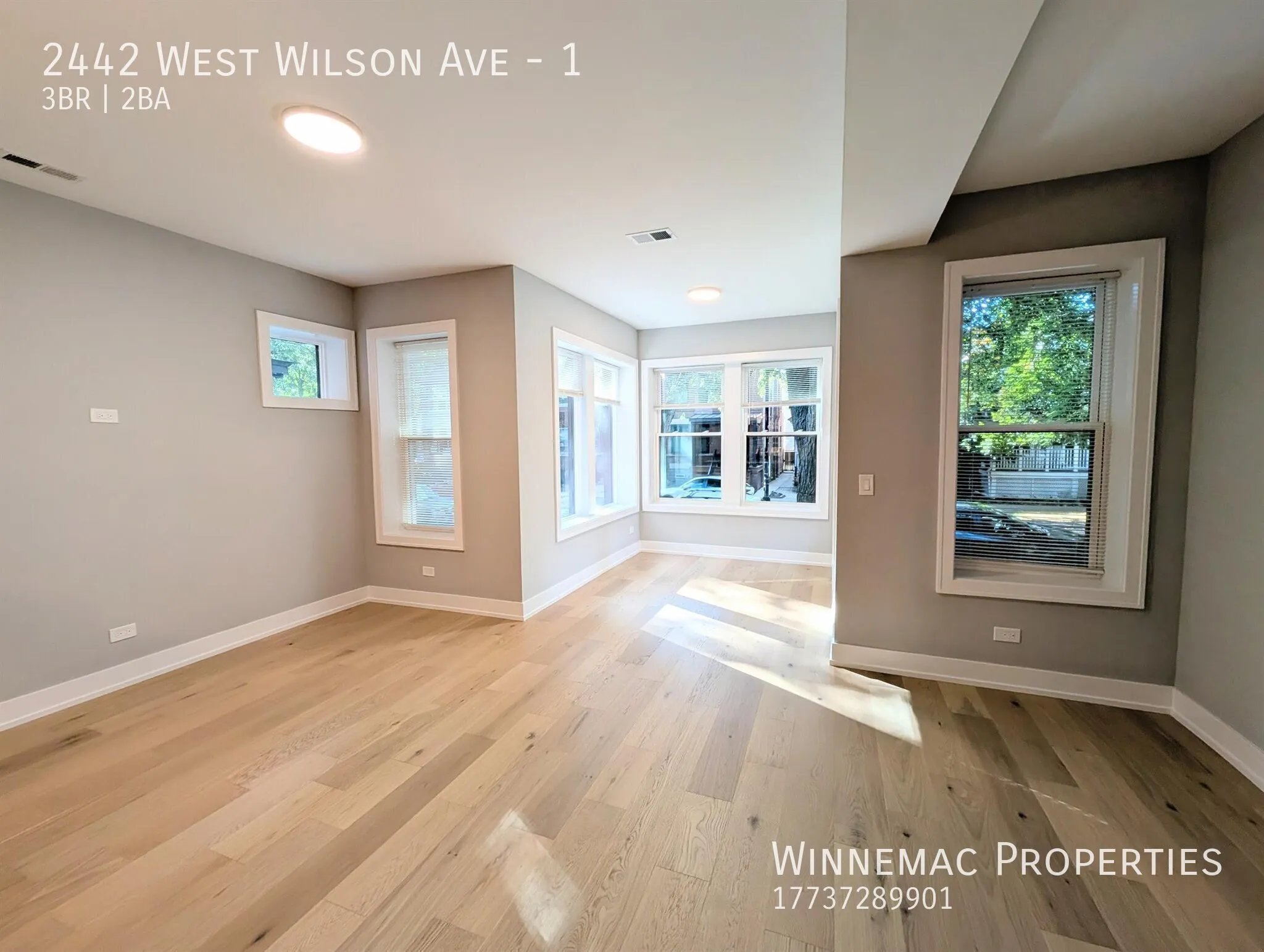 2442 W Wilson Ave, ,  60625, USA 60625-unit#1-Chicago-IL