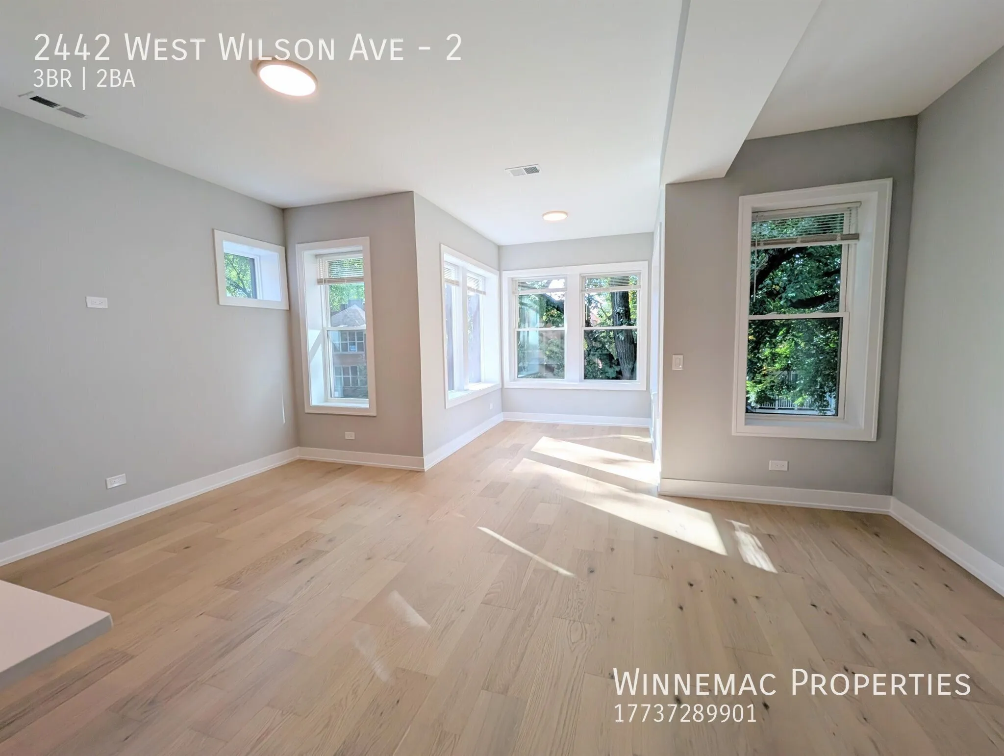 2442 W Wilson Ave, ,  60625, USA 60625-unit#2-Chicago-IL