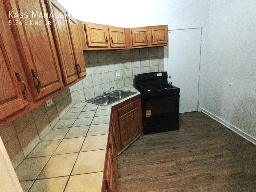 5162 S King Dr, ,  60615, USA 60615-unit#5176-3-Chicago-IL