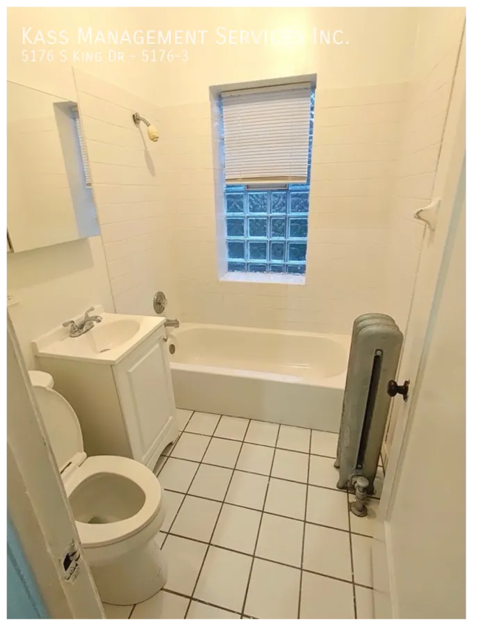 5162 S King Dr, ,  60615, USA 60615-unit#5176-3-Chicago-IL