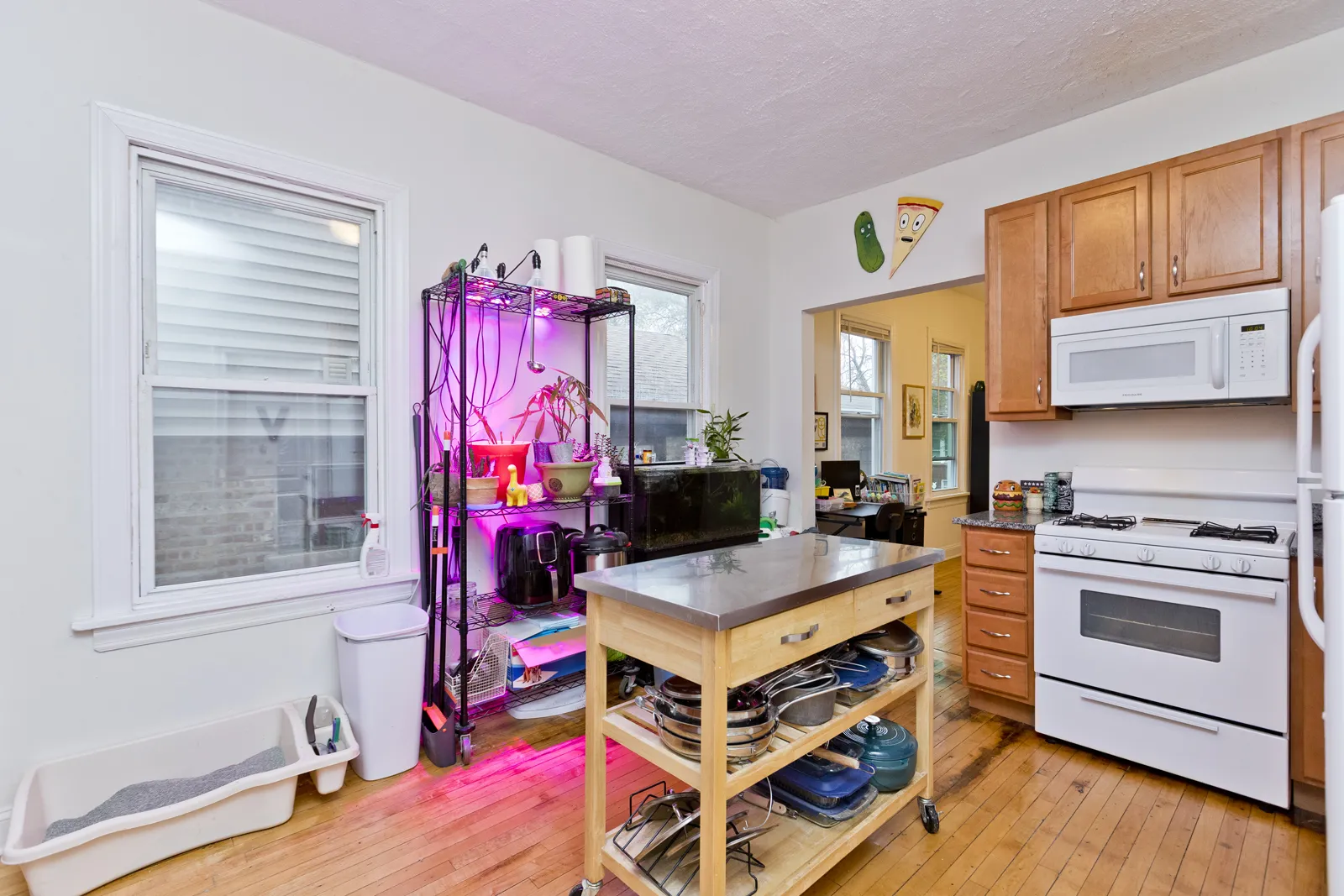 3841 N Bernard St, ,  60618, USA 60618-unit#1F-Chicago-IL