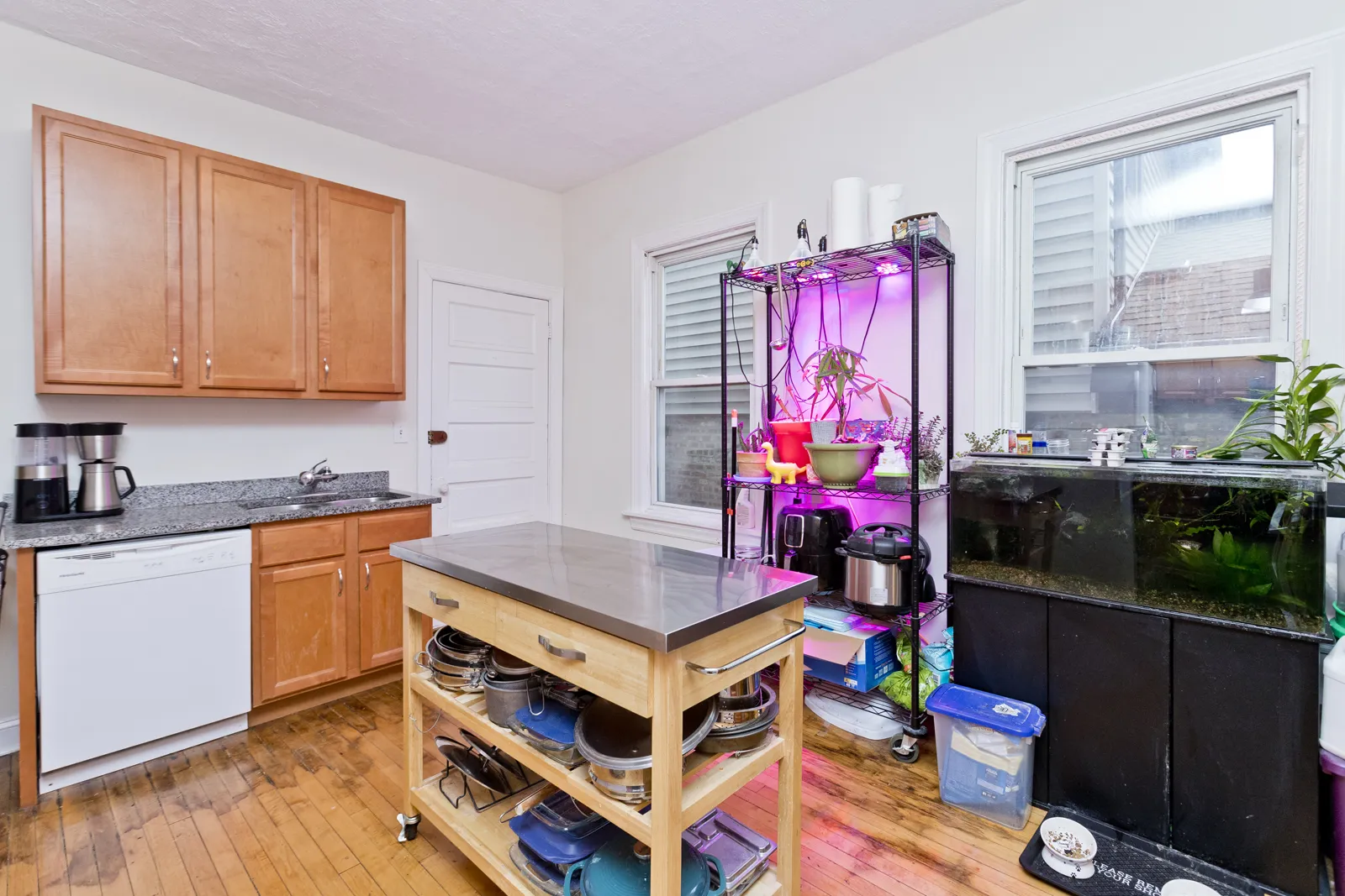 3841 N Bernard St, ,  60618, USA 60618-unit#1F-Chicago-IL