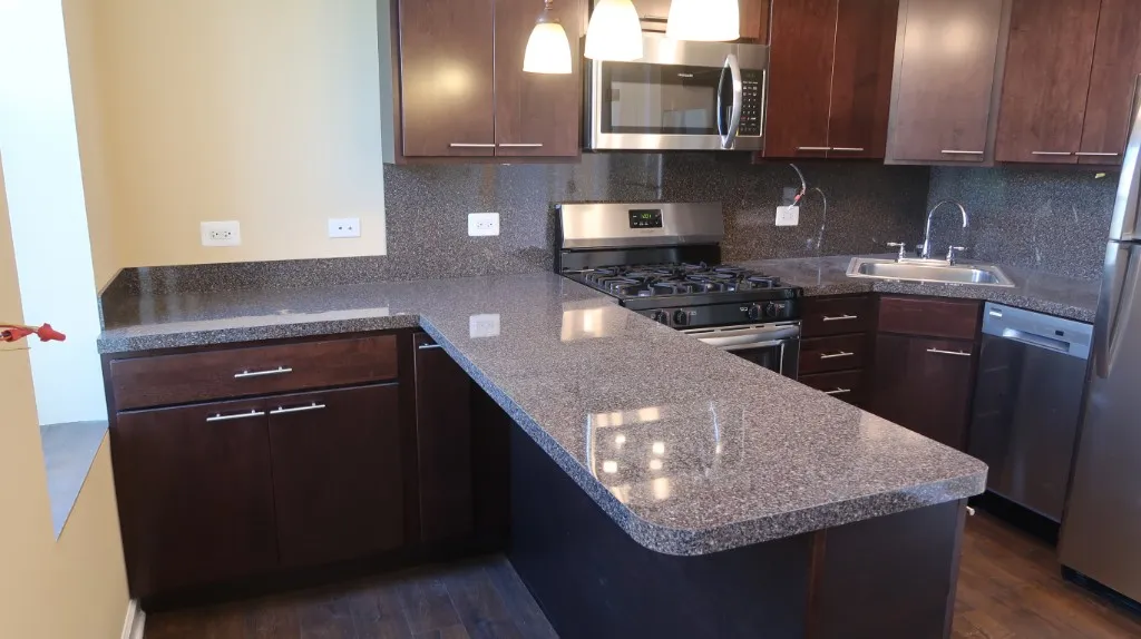 1458 N Bosworth Ave, , 60642, USA 60642-unit#3M-Chicago-IL