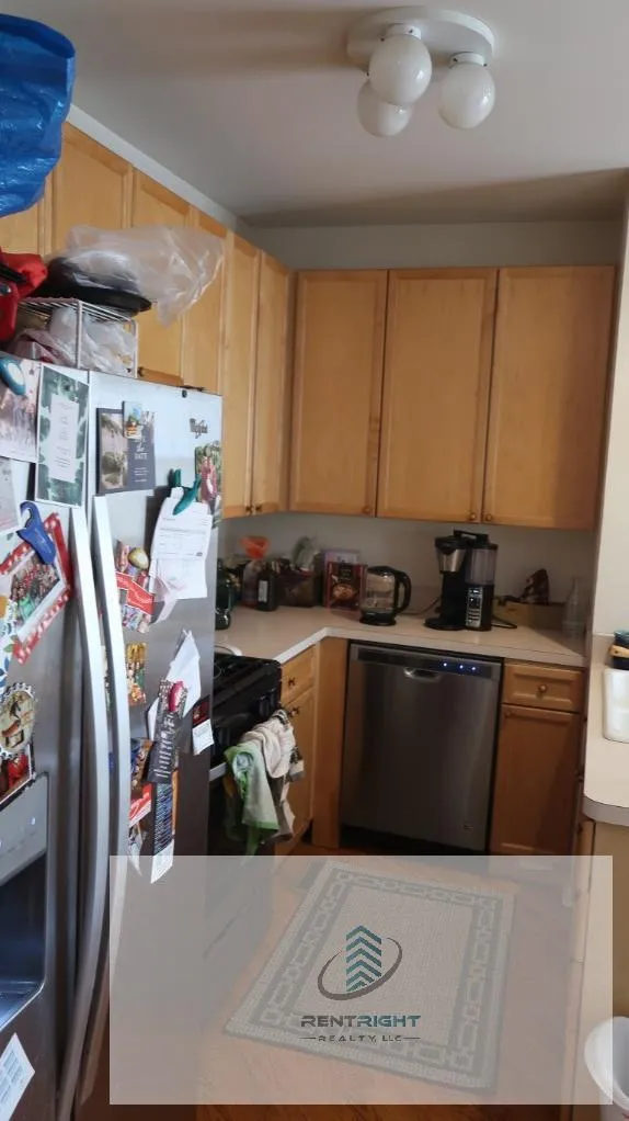 850 N Wood St, ,  60622, USA 60622-unit#2-Chicago-IL