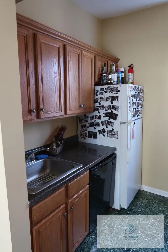 1311 N Bosworth Ave, ,  60642, USA 60642-unit#2M-Chicago-IL