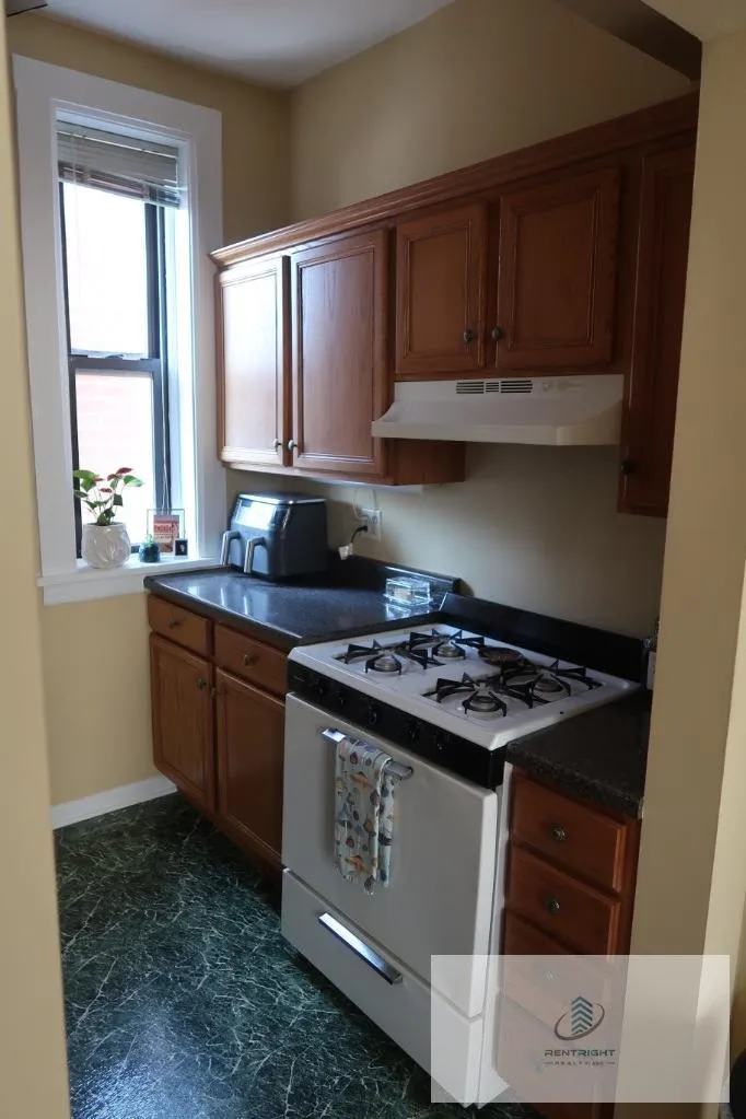 1311 N Bosworth Ave, ,  60642, USA 60642-unit#2M-Chicago-IL