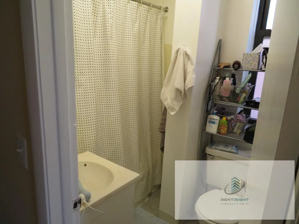 1311 N Bosworth Ave, ,  60642, USA 60642-unit#2F-Chicago-IL