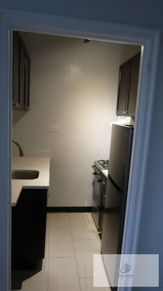 534 W Stratford Pl, ,  60657, USA 60657-unit#408-Chicago-IL