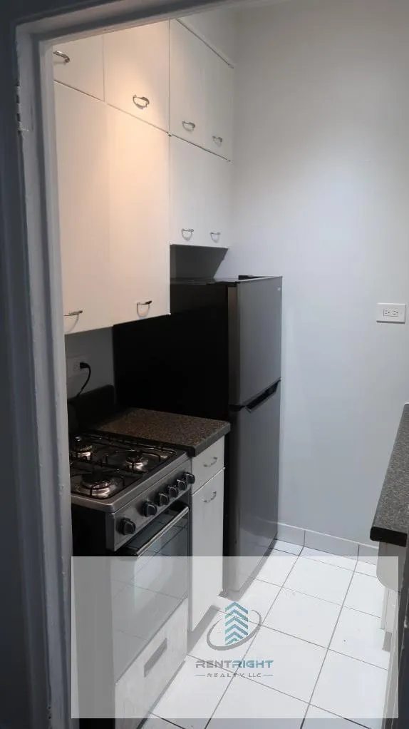 534 W Stratford Pl, , 60657, USA 60657-unit#309-Chicago-IL