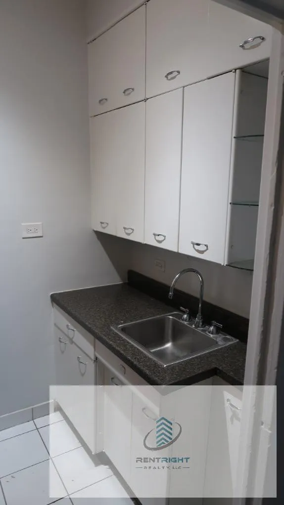 534 W Stratford Pl, ,  60657, USA 60657-unit#309-Chicago-IL