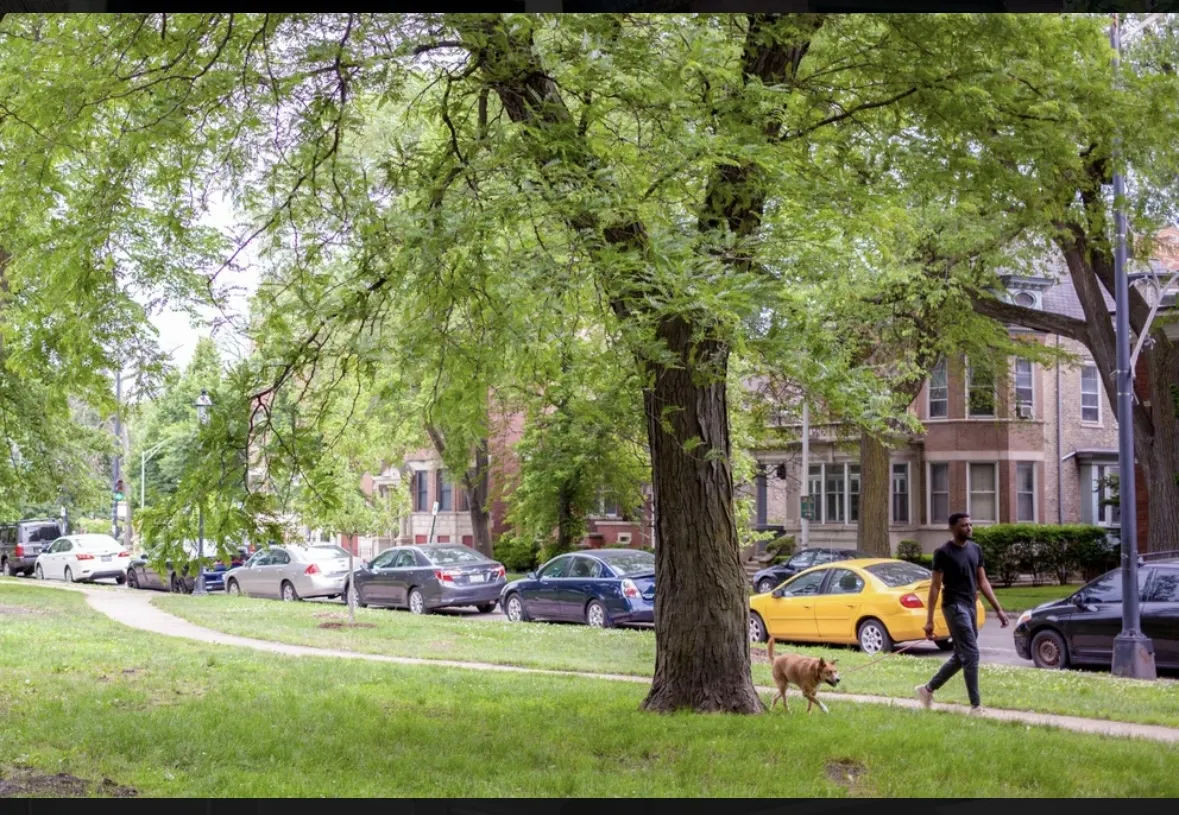 2117 N Kedzie Blvd, , 60647, USA 60647-unit#3R-Chicago-IL