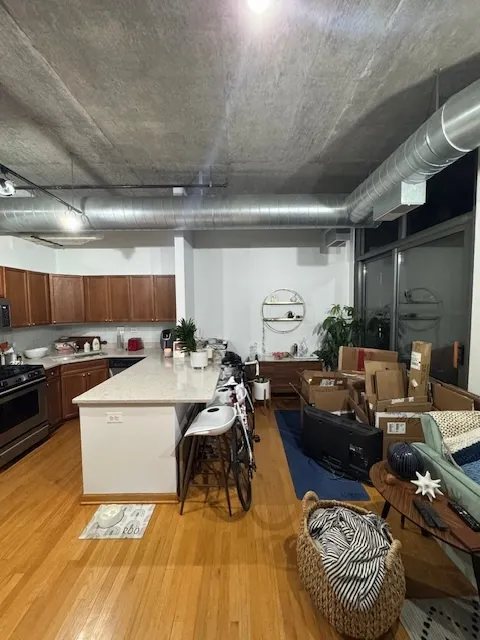 900 N Kingsbury St, ,  60610, USA 60610-unit#1063-Chicago-IL