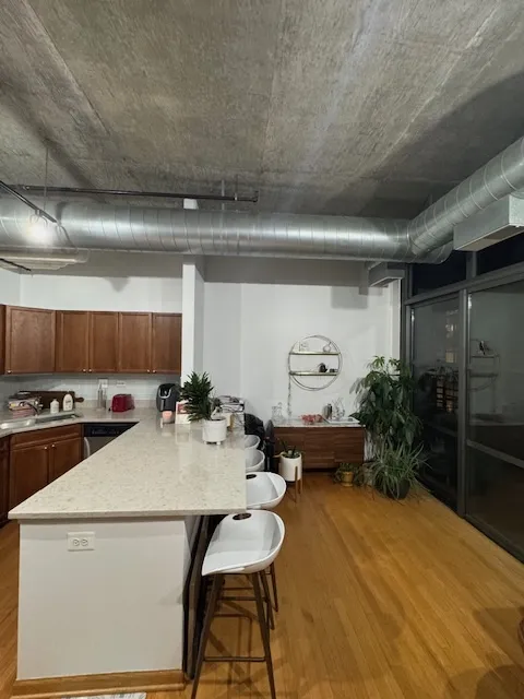 900 N Kingsbury St, ,  60610, USA 60610-unit#1063-Chicago-IL