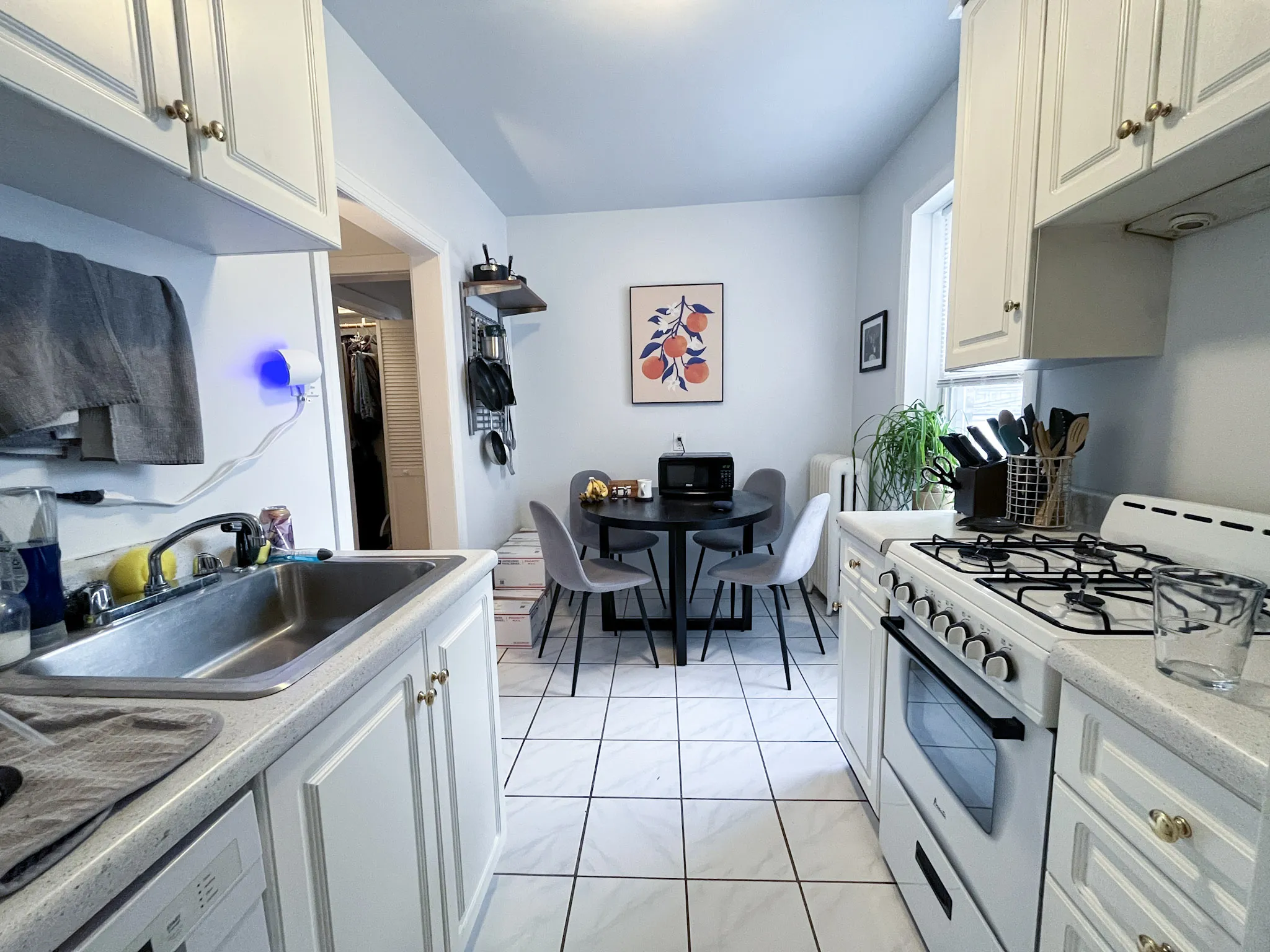 654 W Oakdale Ave, ,  60657, USA 60657-unit#1N-Chicago-IL