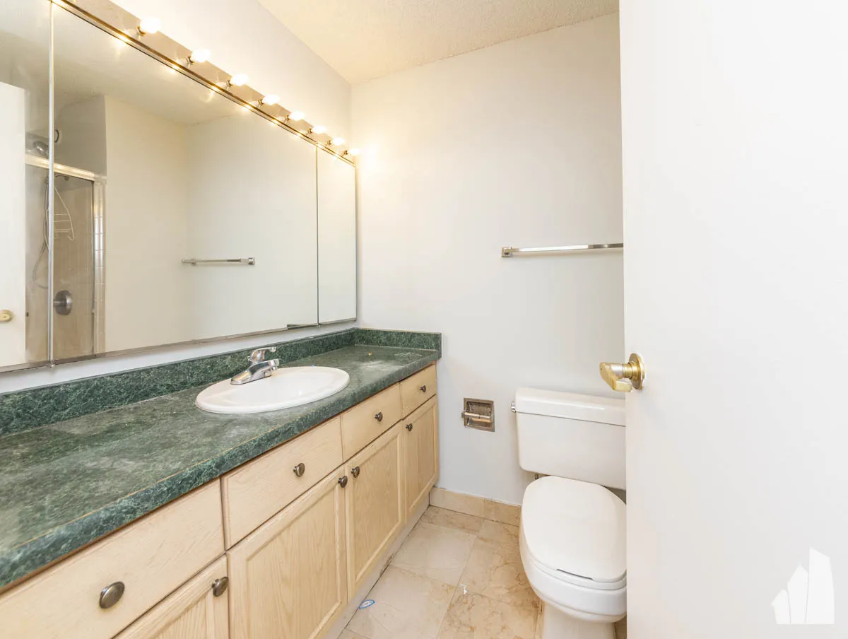 195 N Harbor Dr, ,  60654, USA 60601-unit#3104-Chicago-IL