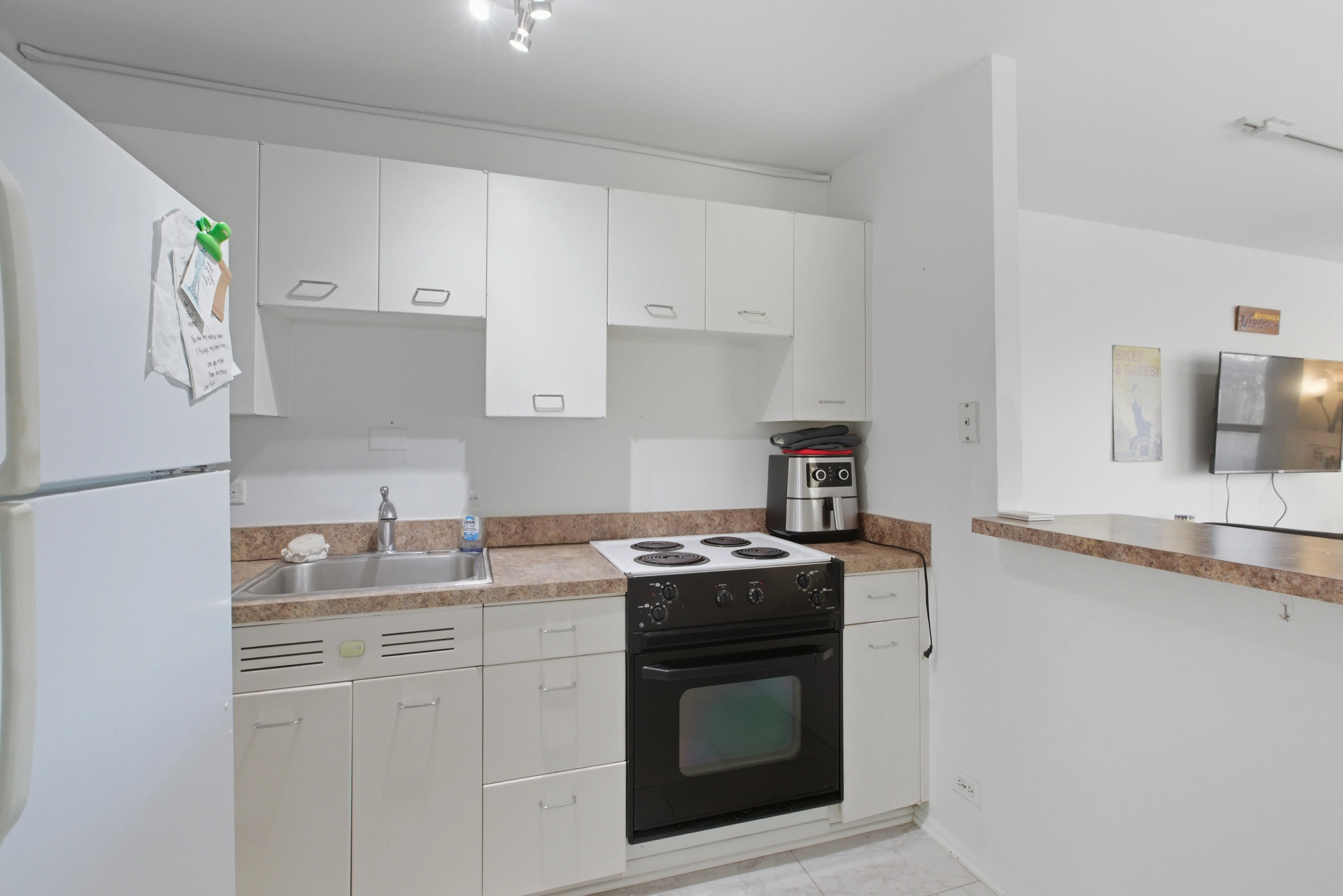 1355 N Sandburg Terrace, , 60610, USA 60610-unit#303D-Chicago-IL