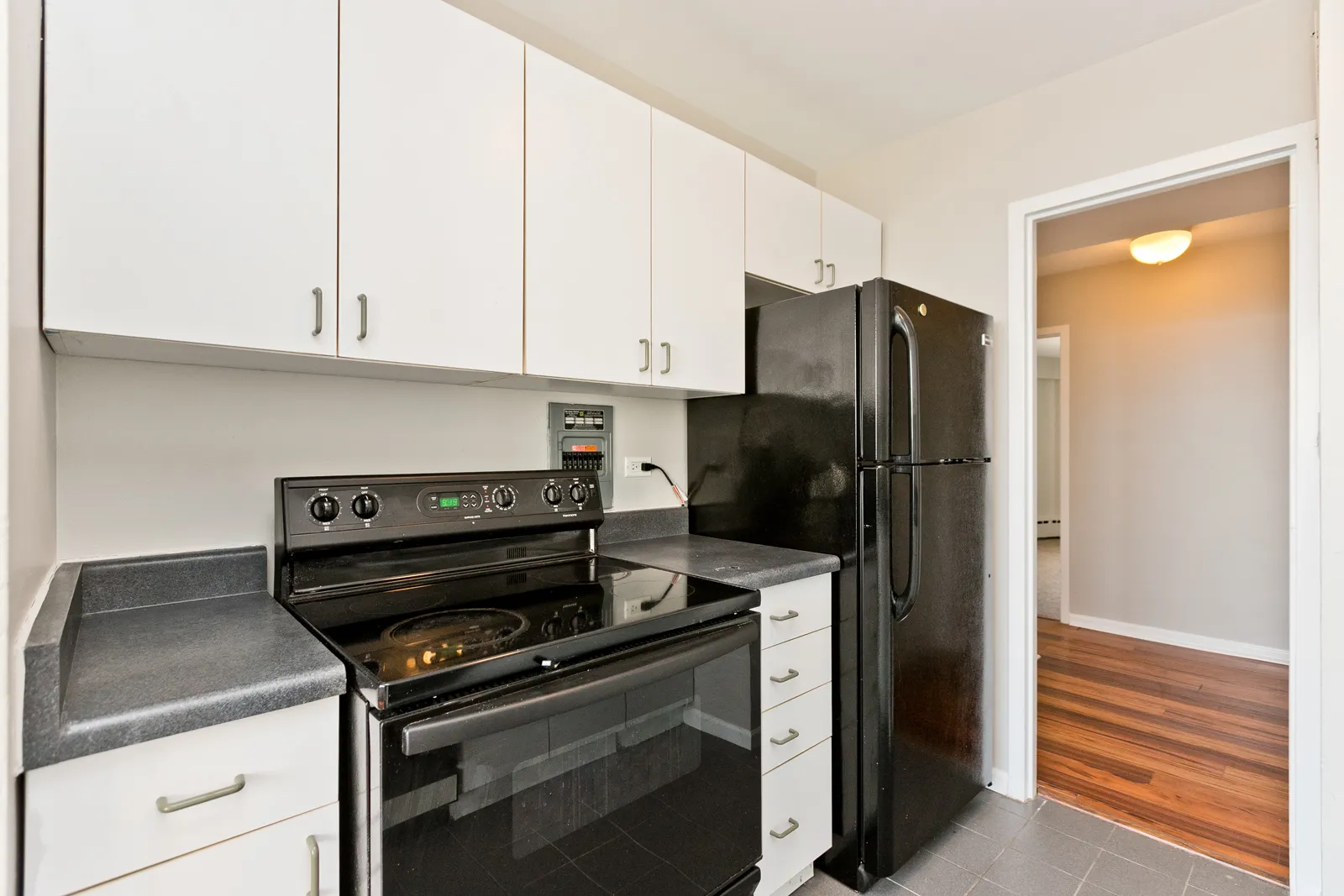 3410 N Lake Shore Dr, , 60657, USA 60657-unit#14F-Chicago-IL