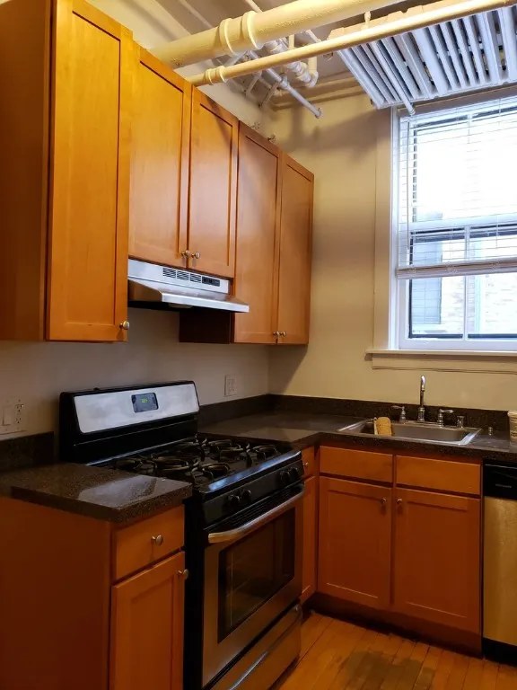 1605 W Thome Ave, ,  60660, USA 60660-unit#2-Chicago-IL