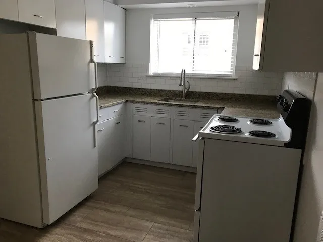 245 Ridge Ave, ,  60202, USA 60202-unit#3-Evanston-IL