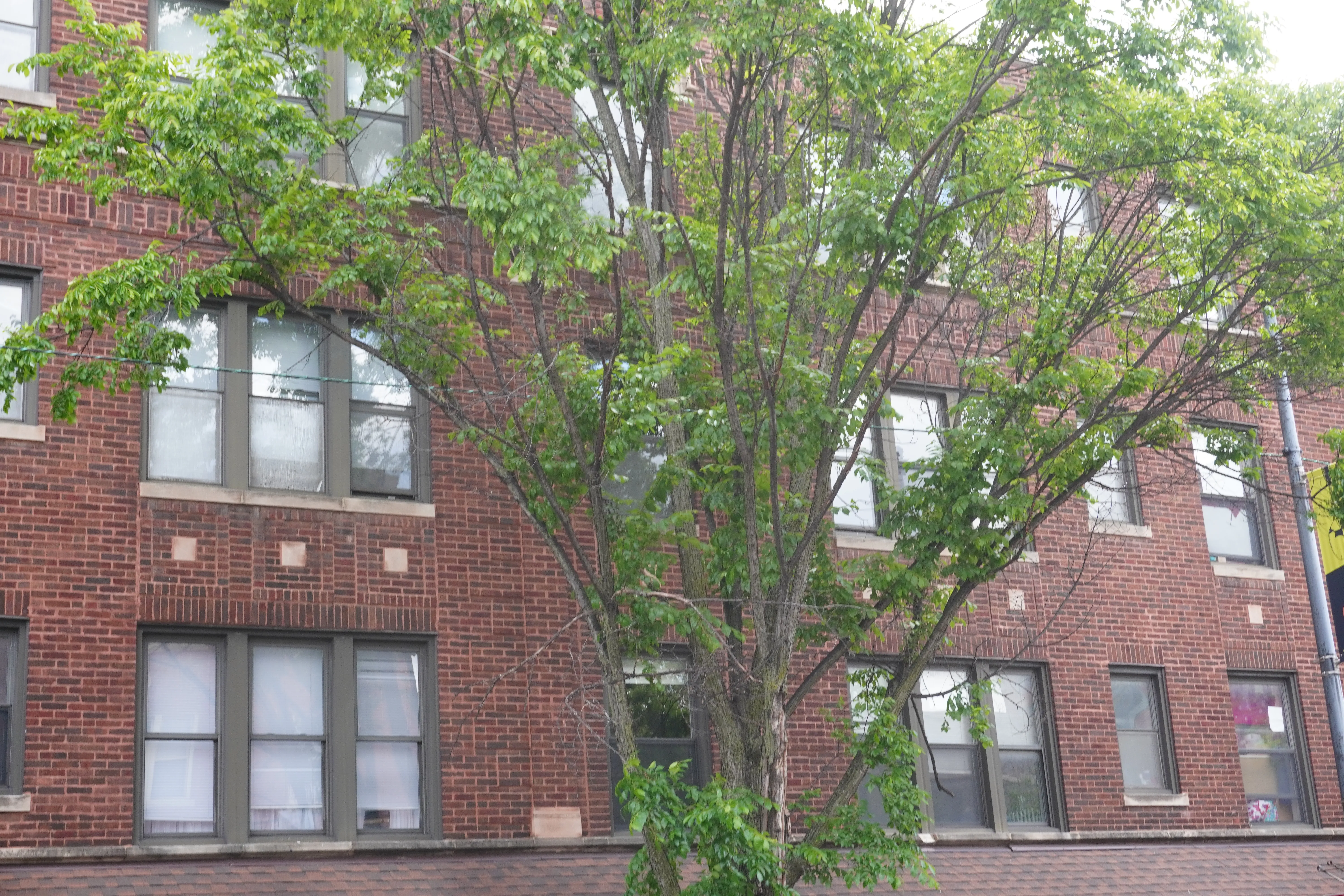 3154 W Belle Plaine Ave, , 60618, USA 60618-unit#3152-1W-Chicago-IL