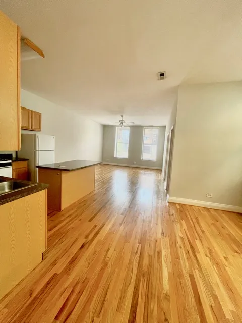1459 N Milwaukee Ave, ,  60622, USA 60622-unit#2A-Chicago-IL