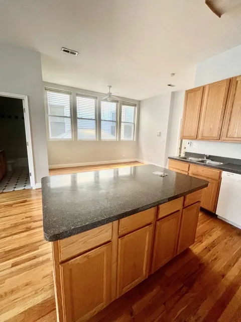 1459 N Milwaukee Ave, ,  60622, USA 60622-unit#2A-Chicago-IL
