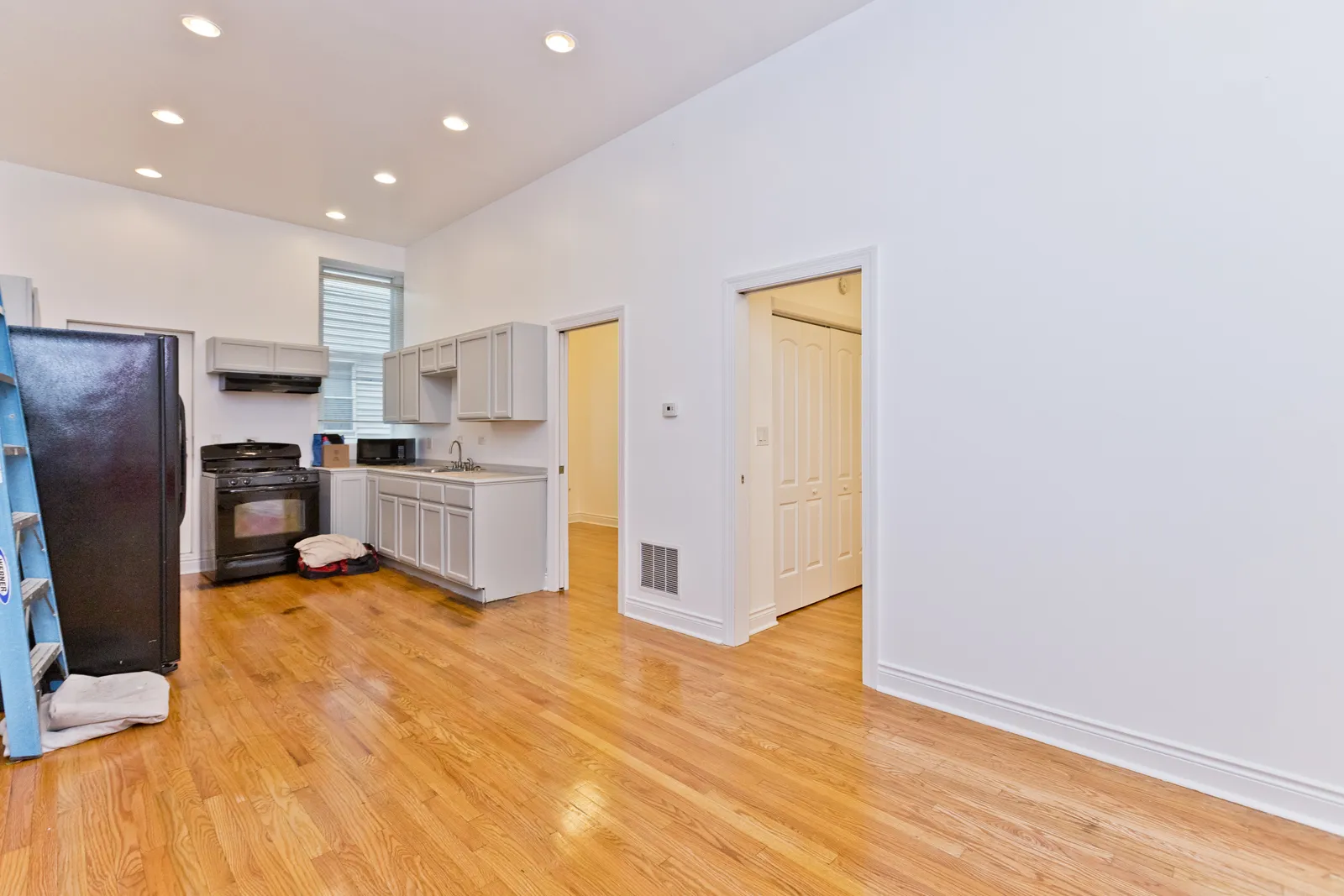 1732 W 17th St, , 60608, USA 60608-unit#1RFB-Chicago-IL