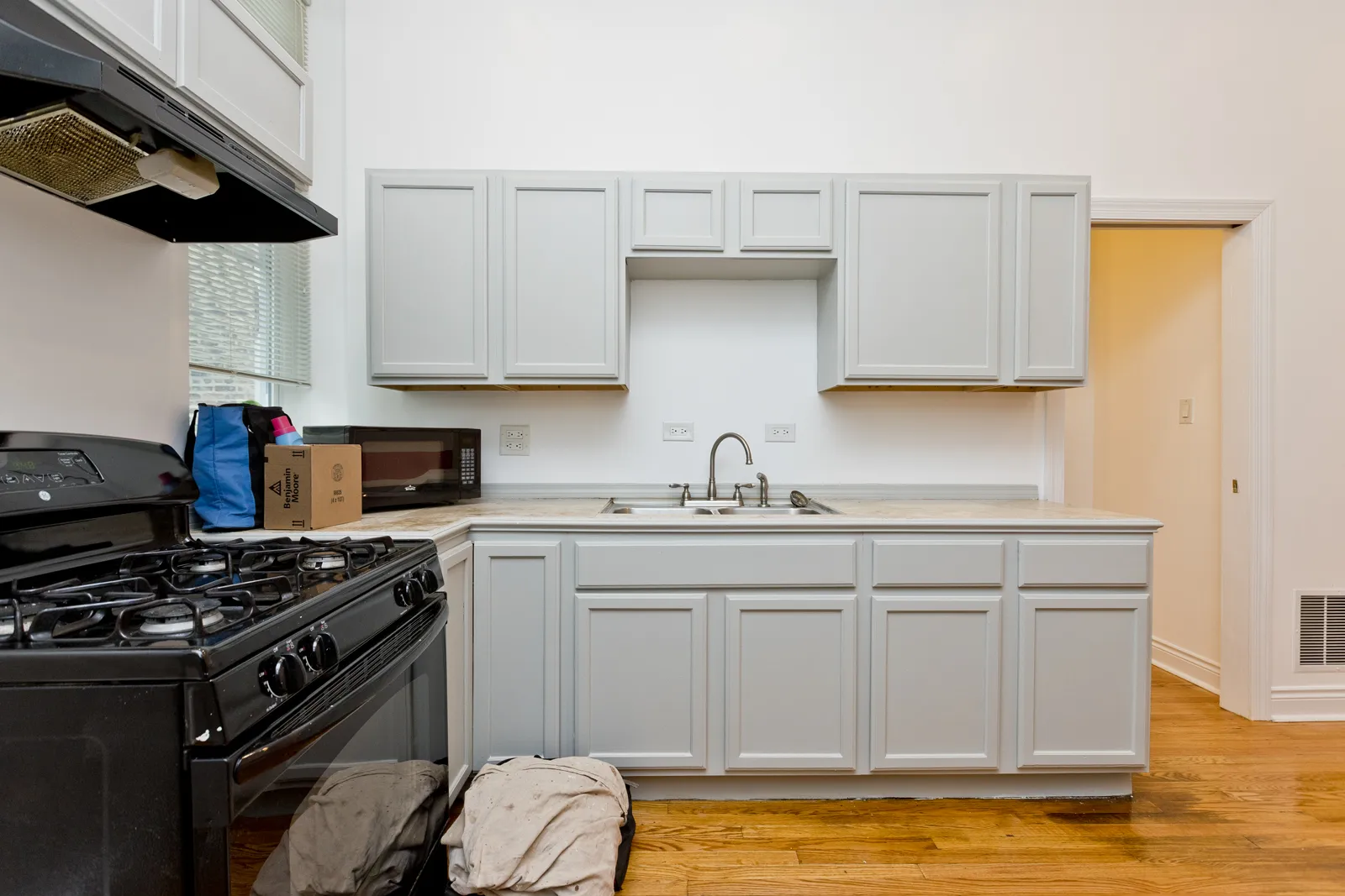 1732 W 17th St, , 60608, USA 60608-unit#1RFB-Chicago-IL