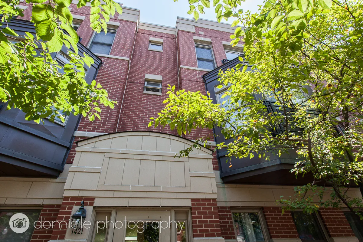 1421 S Halsted St, , 60607, USA 60607-unit#2B-Chicago-IL