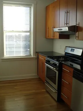 129 Ridge Ave, ,  60202, USA 60202-unit#2-Evanston-IL