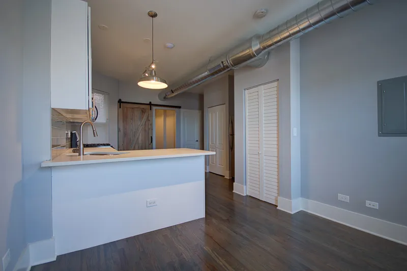 2001 S Allport St, ,  60608, USA 60608-unit#3R-Chicago-IL