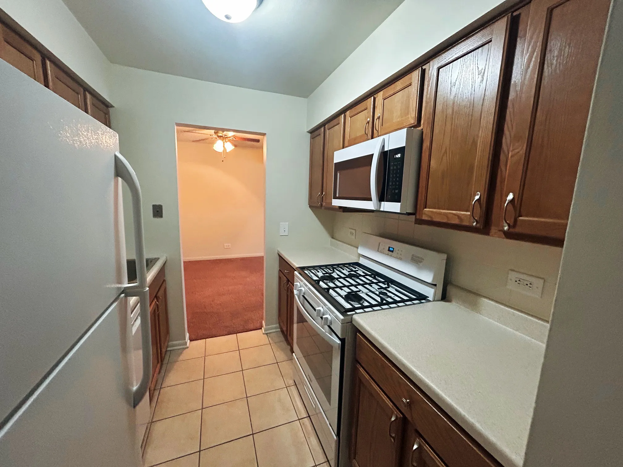 241 W Main St, ,  60047, USA 60047-unit#208-Lake Zurich-IL