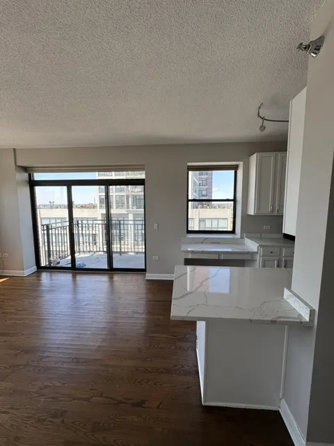 1529 S State St, , 60605, USA 60605-unit#15H-Chicago-IL