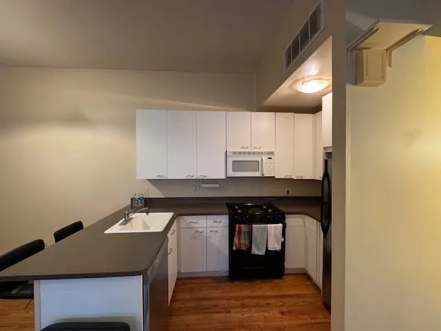 616 N Paulina St, , 60622, USA 60622-unit#1-Chicago-IL