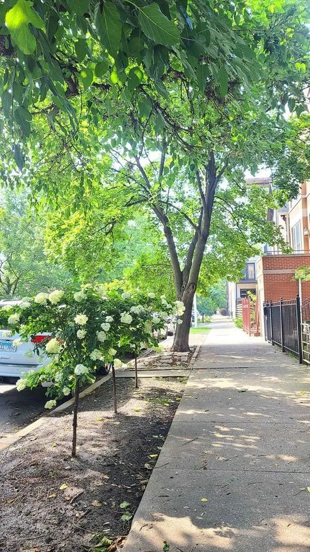 2024 N Wolcott Ave, , 60614, USA 60614-unit#CH-Chicago-IL