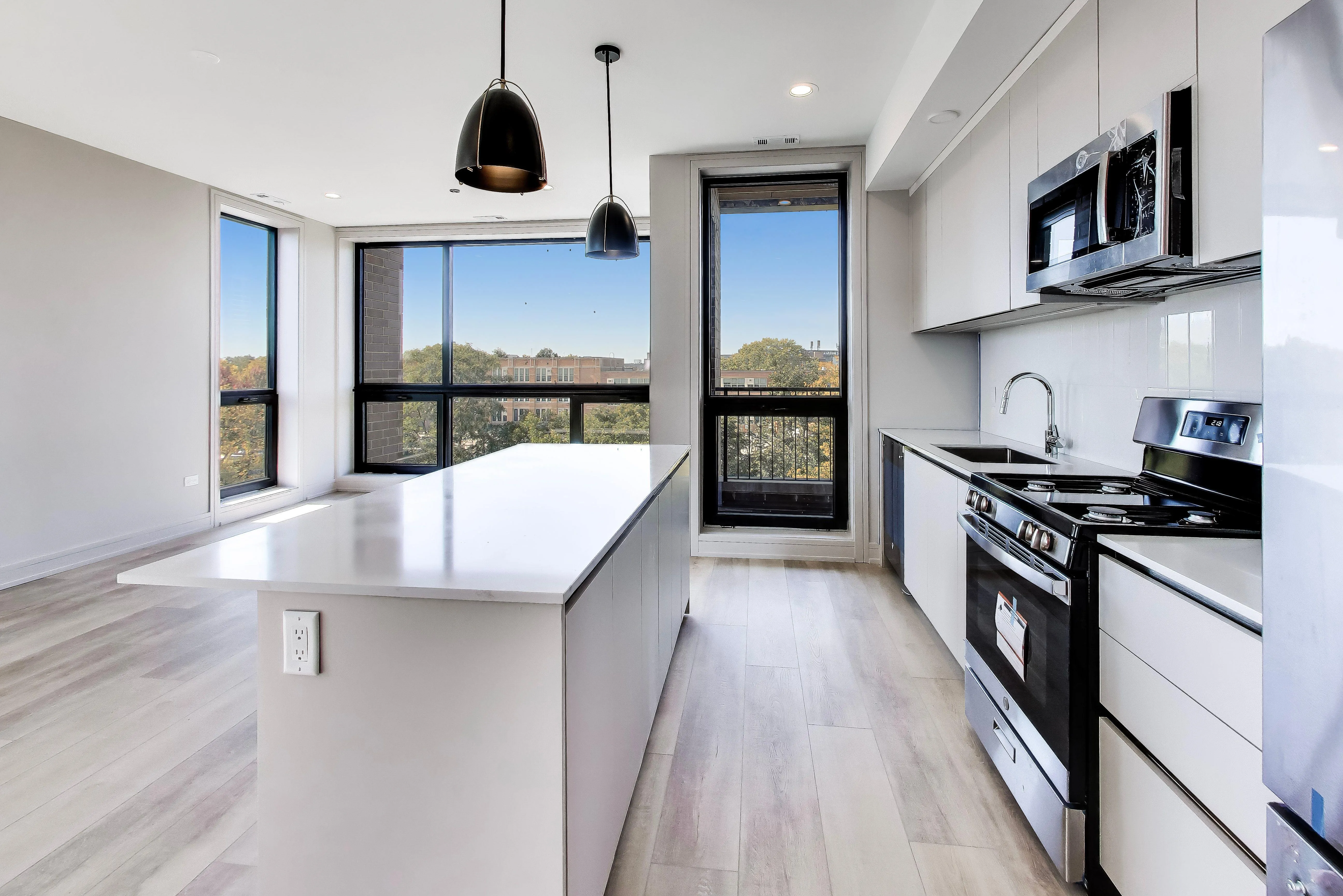 3645 S Michigan Ave, ,  60653, USA 60653-unit#1S-Chicago-IL
