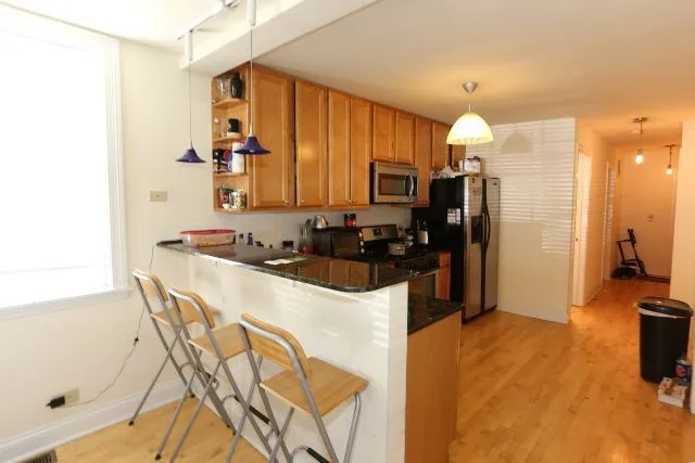 1059 W Fry St, ,  60642, USA 60642-unit#1-Chicago-IL