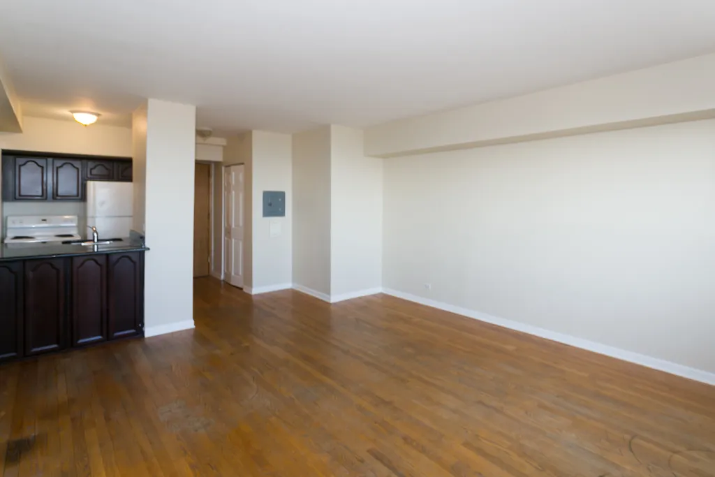 4180 N Marine Dr, ,  60613, USA 60613-unit#1206-Chicago-IL