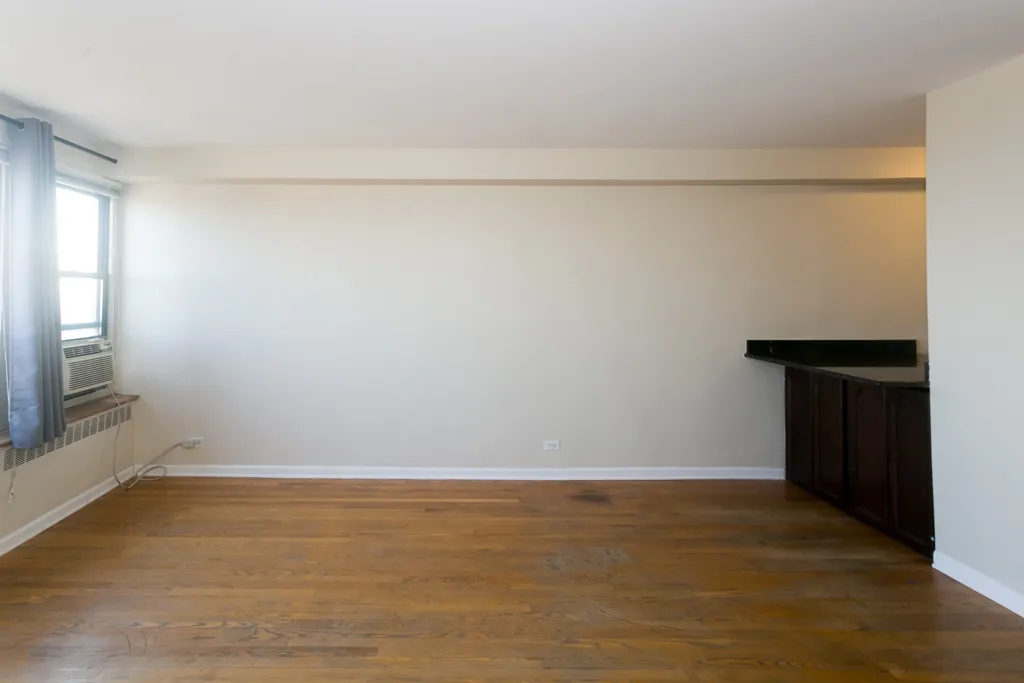 4180 N Marine Dr, ,  60613, USA 60613-unit#1206-Chicago-IL