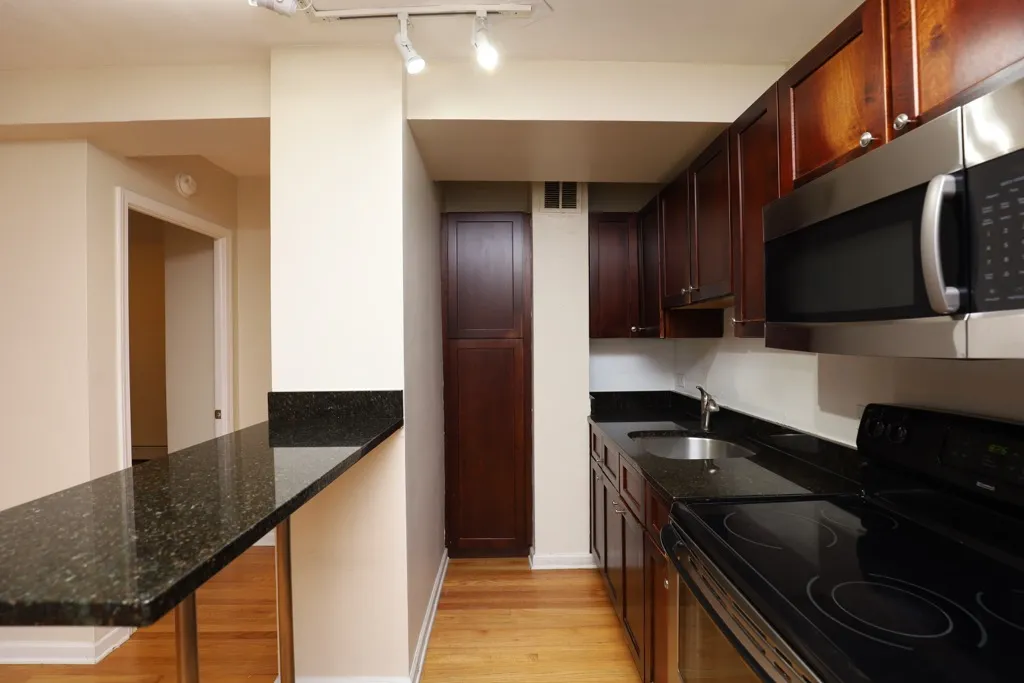 4180 N Marine Dr, ,  60613, USA 60613-unit#1101-Chicago-IL