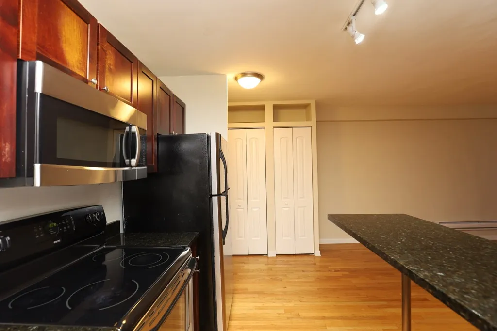 4180 N Marine Dr, ,  60613, USA 60613-unit#1101-Chicago-IL