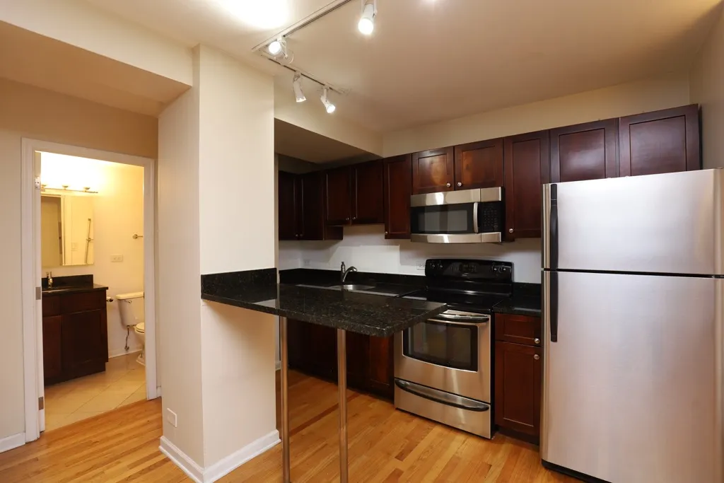 4180 N Marine Dr, ,  60613, USA 60613-unit#1101-Chicago-IL
